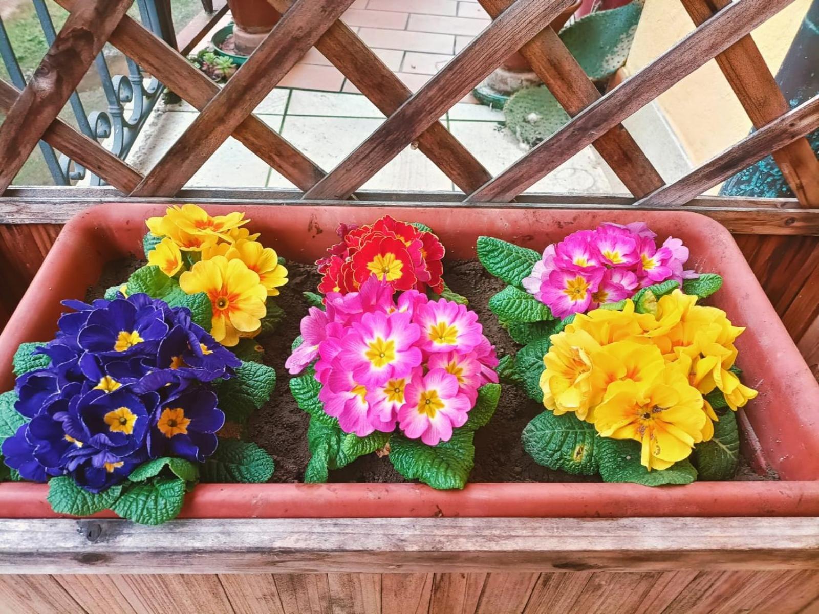 Le Colline Di Maggiora B&B 外观 照片