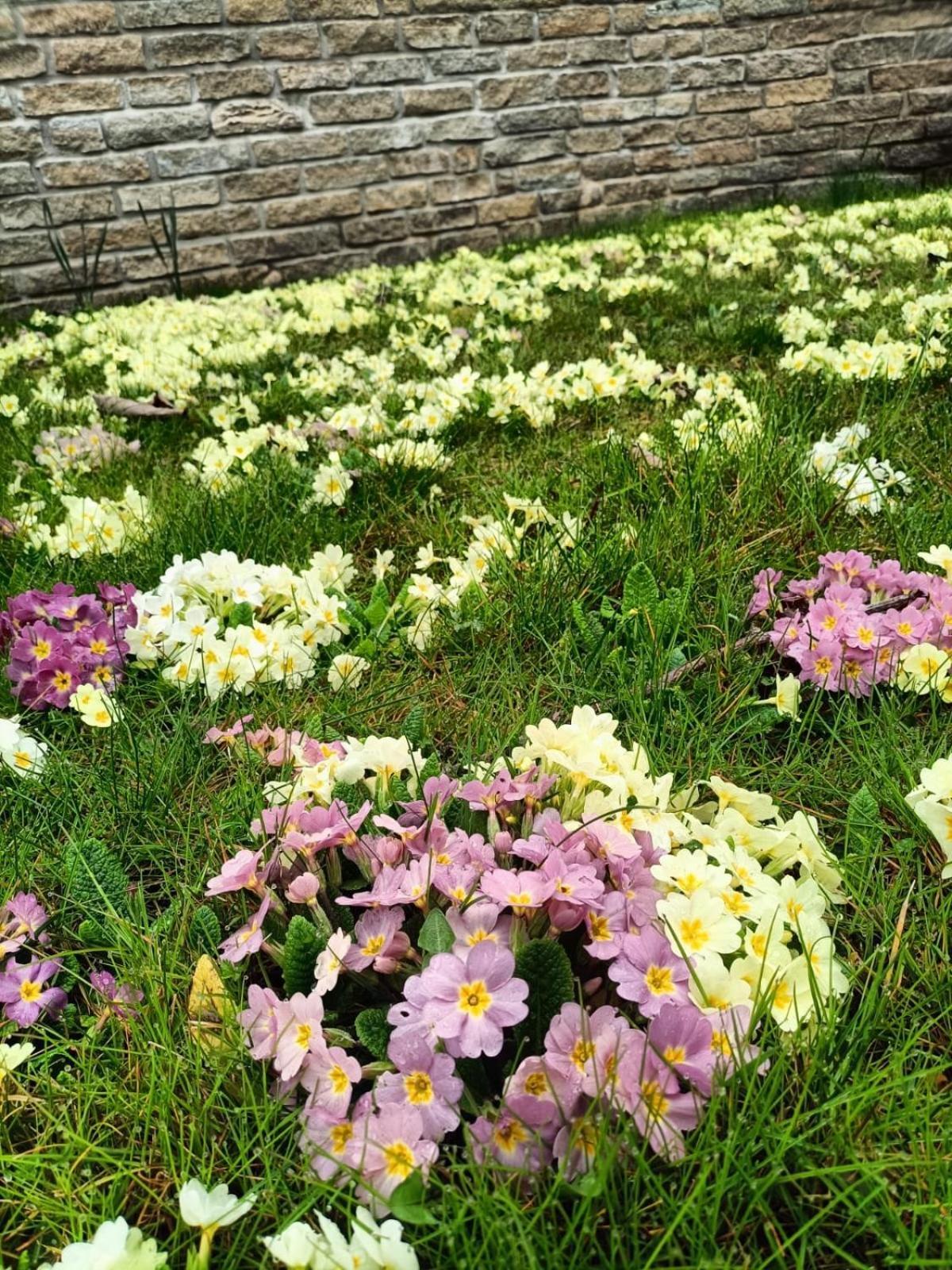Le Colline Di Maggiora B&B 外观 照片
