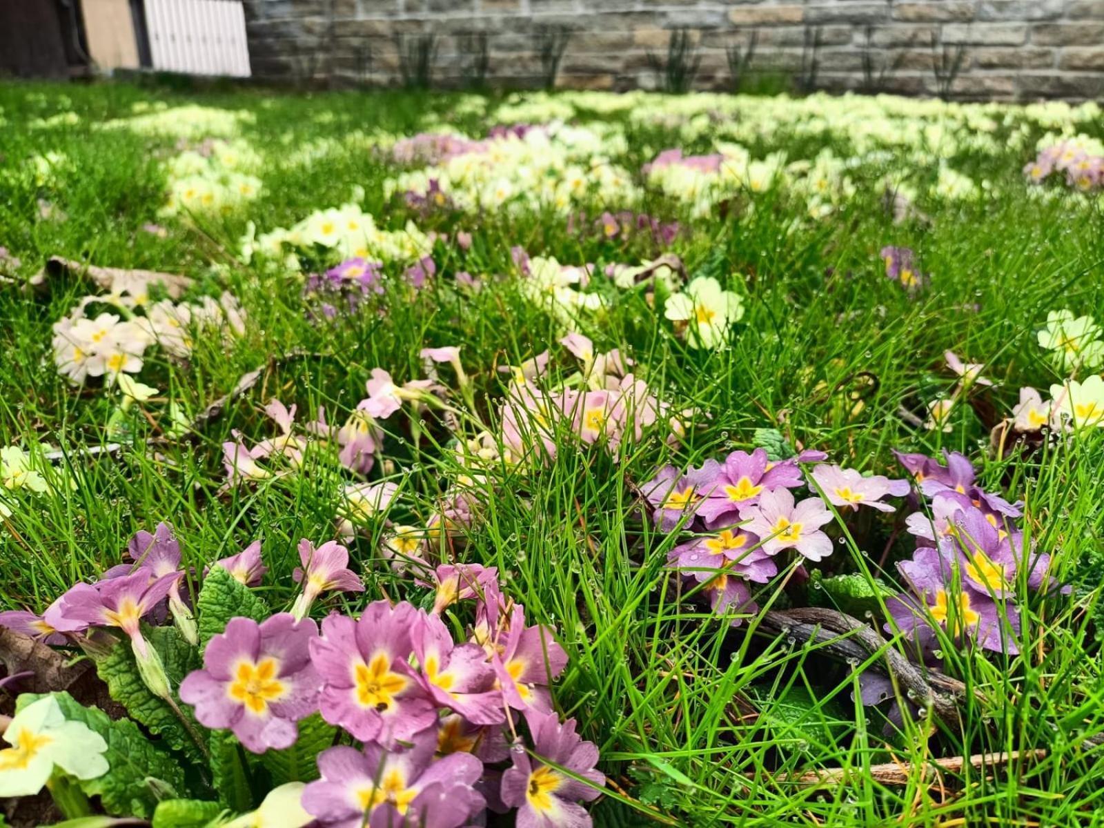 Le Colline Di Maggiora B&B 外观 照片